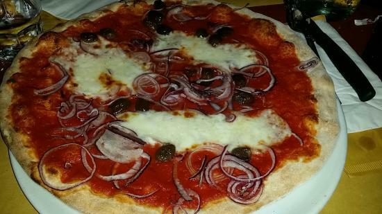 Il Bagolaro