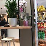 Bar Portici