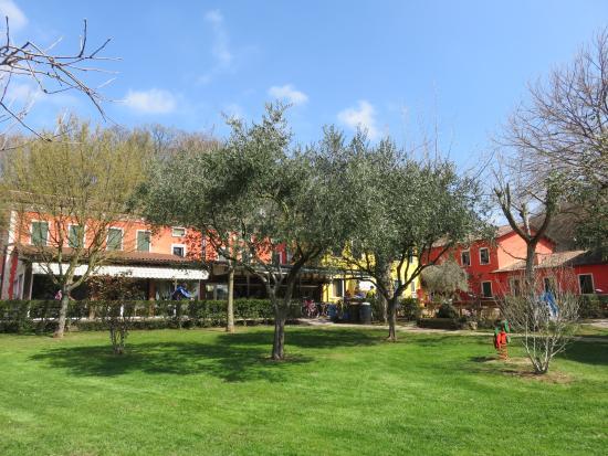 Trattoria Tipica Valle Verde SNC