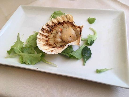 NAPPA Ristorante