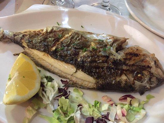 Trattoria V Ponte