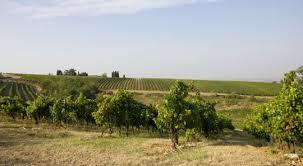 Az. Agr. Cavazza