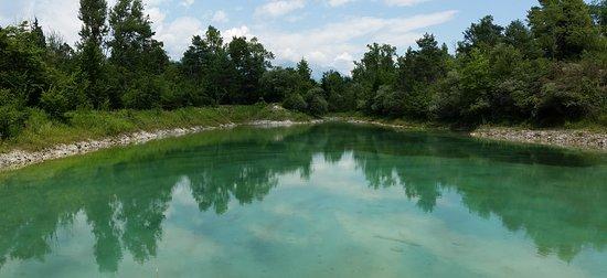 Riserva Naturale di Popolamento Animale Vincheto di Celarda
