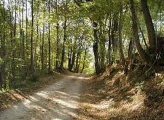 Il Montello