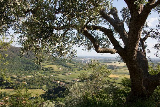 EVO del Borgo