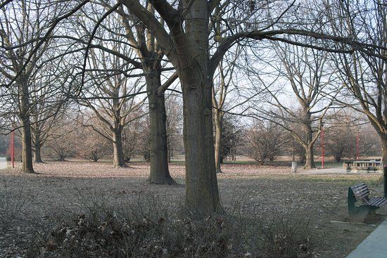 Parco Gianni Rodari