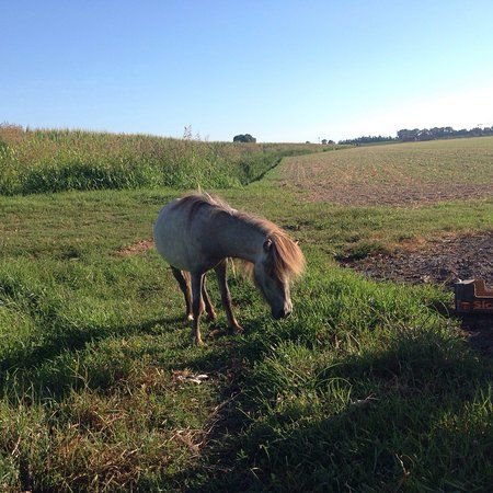 Agriturismo al Doge
