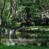 Giardino Storico di Cà Dolfin-Marchiori
